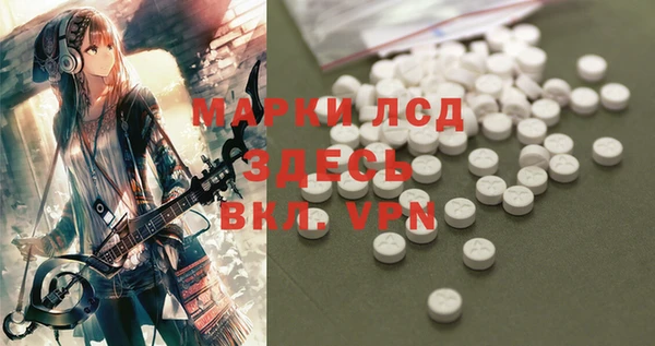 гашик Заводоуковск