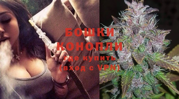 сатива Горно-Алтайск