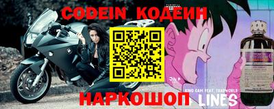 крисы Абакан