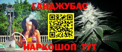 крисы Абакан