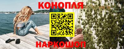 крисы Абакан