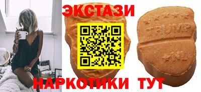 крисы Абакан