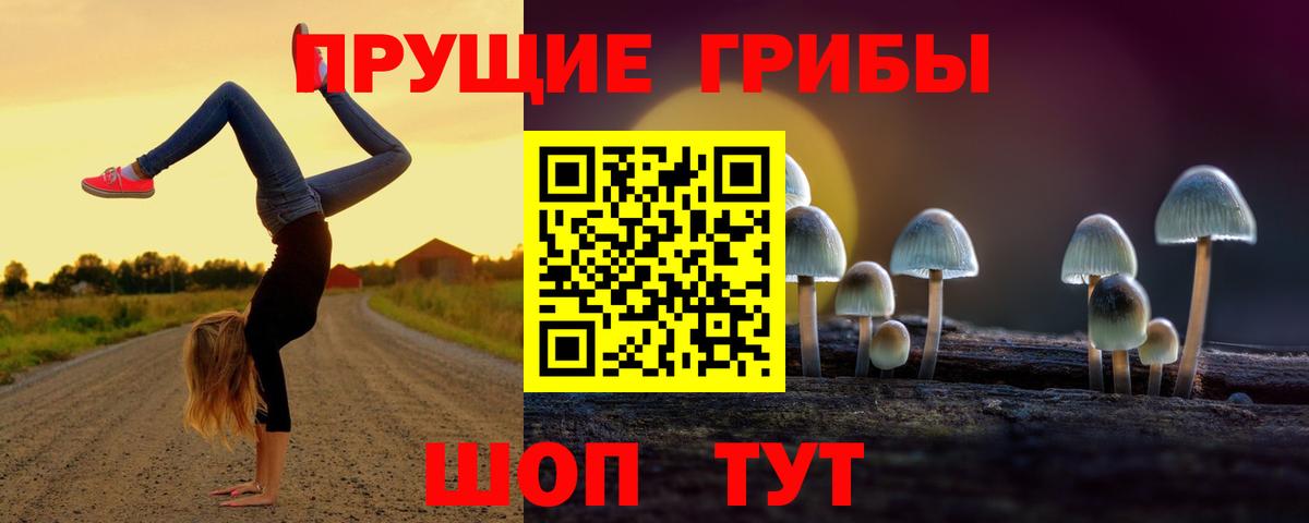 Псилоцибиновые грибы Psilocybe  Псилоцибиновые грибы Psilocybe  Азнакаево  Вход с VPN 